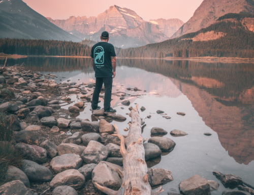 Projects: 2024 Recap