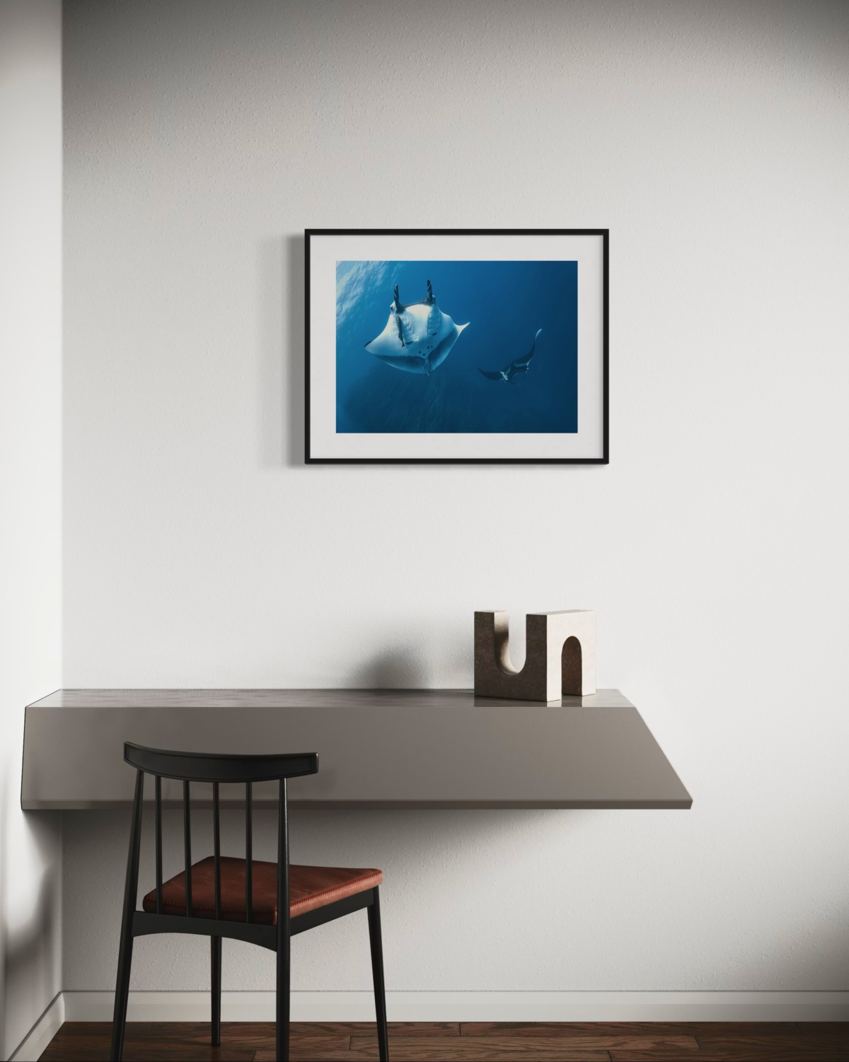 Fine art underwater photography prints for your home.